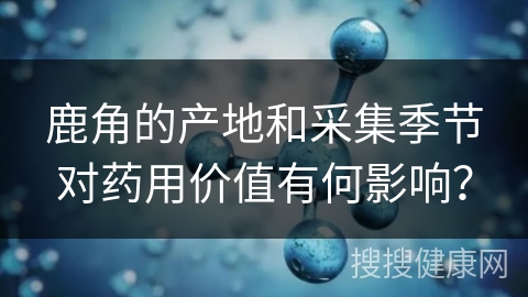 鹿角的产地和采集季节对药用价值有何影响？