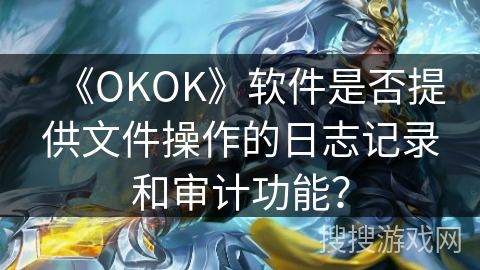 《OKOK》软件是否提供文件操作的日志记录和审计功能？
