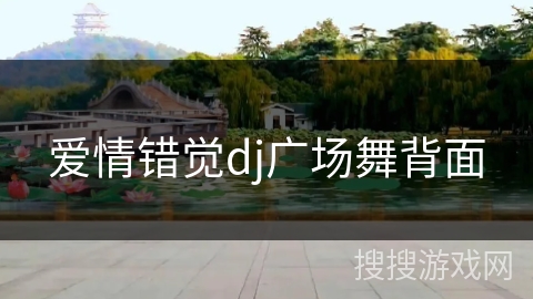 爱情错觉dj广场舞背面