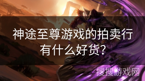 神途至尊游戏的拍卖行有什么好货？