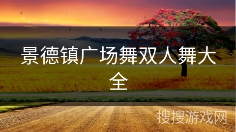 景德镇广场舞双人舞大全