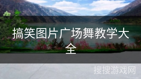 搞笑图片广场舞教学大全