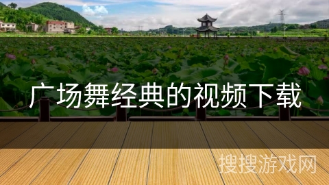 广场舞经典的视频下载