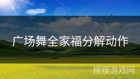 广场舞全家福分解动作