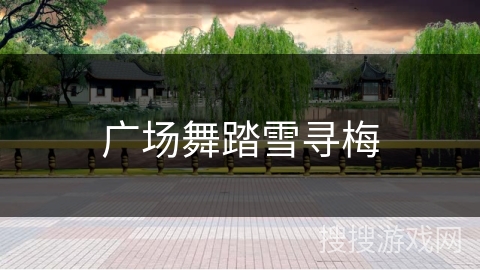 广场舞踏雪寻梅