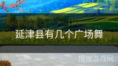 延津县有几个广场舞