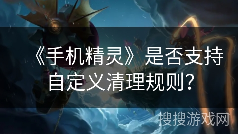《手机精灵》是否支持自定义清理规则？