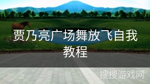 贾乃亮广场舞放飞自我教程