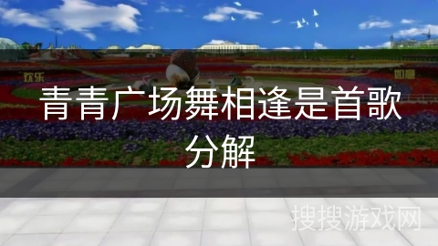 青青广场舞相逢是首歌分解