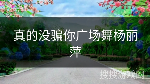 真的没骗你广场舞杨丽萍