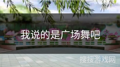 我说的是广场舞吧