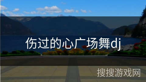 伤过的心广场舞dj