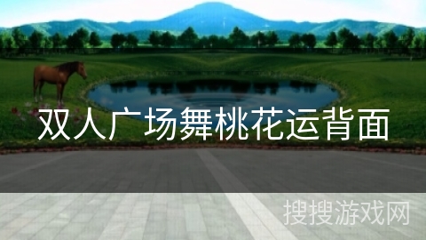 双人广场舞桃花运背面