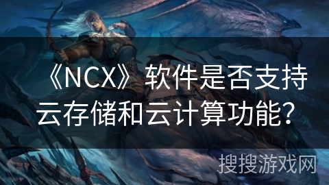 《NCX》软件是否支持云存储和云计算功能？