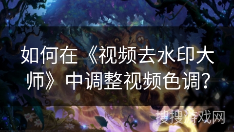 如何在《视频去水印大师》中调整视频色调？