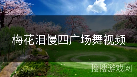 梅花泪慢四广场舞视频