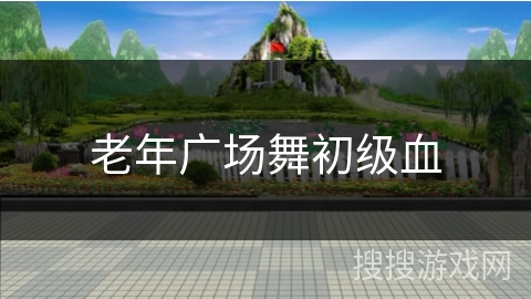 老年广场舞初级血 老年广场舞初级血