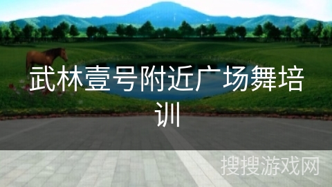 武林壹号附近广场舞培训 武林壹号附近广场舞培训