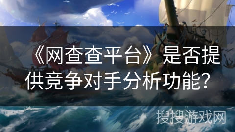 《网查查平台》是否提供竞争对手分析功能？