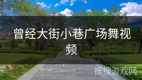 曾经大街小巷广场舞视频