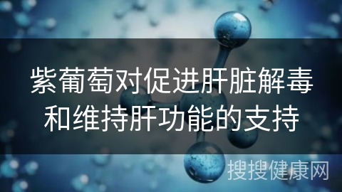 紫葡萄对促进肝脏解毒和维持肝功能的支持