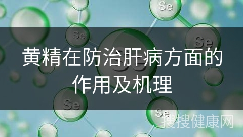 黄精在防治肝病方面的作用及机理