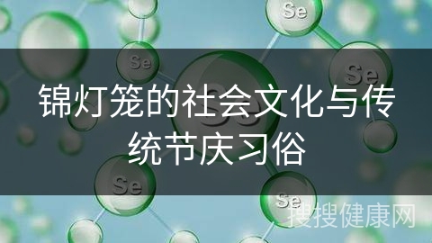 锦灯笼的社会文化与传统节庆习俗