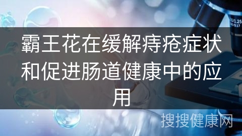 霸王花在缓解痔疮症状和促进肠道健康中的应用