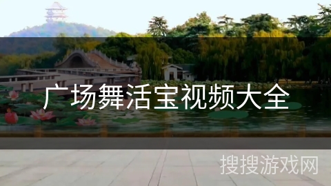 广场舞活宝视频大全