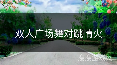 双人广场舞对跳情火