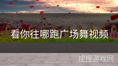 看你往哪跑广场舞视频