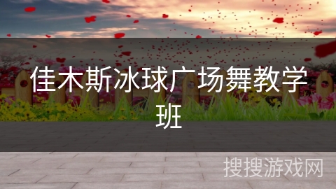 佳木斯冰球广场舞教学班