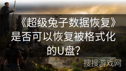 《超级兔子数据恢复》是否可以恢复被格式化的U盘？
