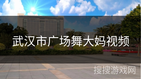 武汉市广场舞大妈视频