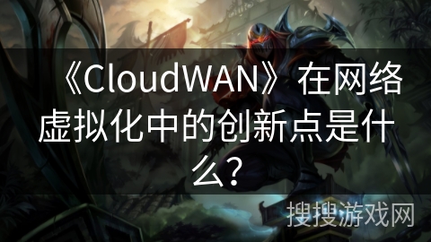 《CloudWAN》在网络虚拟化中的创新点是什么？