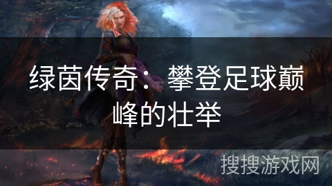 绿茵传奇：攀登足球巅峰的壮举