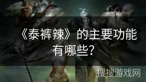 《泰裤辣》的主要功能有哪些？