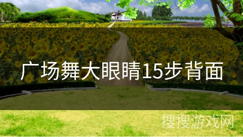 广场舞大眼睛15步背面