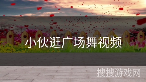 小伙逛广场舞视频