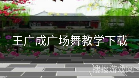 王广成广场舞教学下载