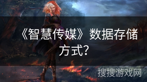 《智慧传媒》数据存储方式？