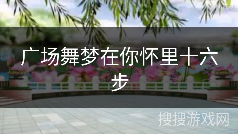 广场舞梦在你怀里十六步