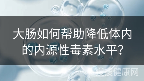 大肠如何帮助降低体内的内源性毒素水平？