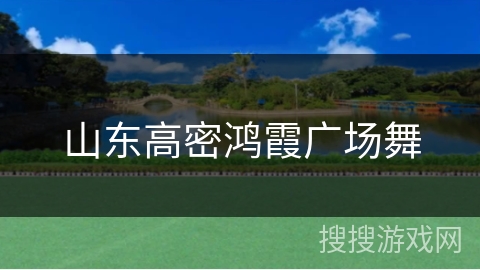 山东高密鸿霞广场舞