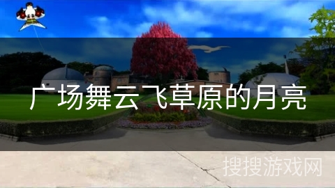 广场舞云飞草原的月亮