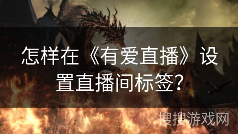 怎样在《有爱直播》设置直播间标签? 怎样在《有爱直播》设置直播间标签?