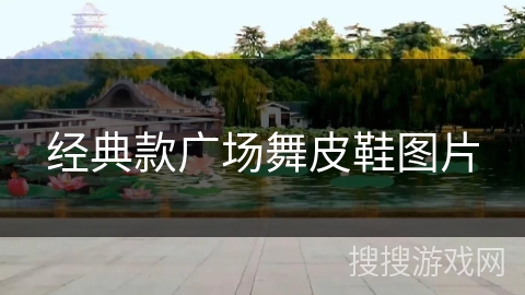 经典款广场舞皮鞋图片