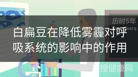 白扁豆在降低雾霾对呼吸系统的影响中的作用