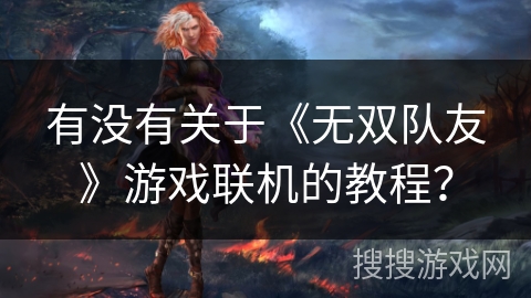 有没有关于《无双队友》游戏联机的教程? 有没有关于《无双队友》游戏联机的教程?