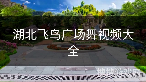 湖北飞鸟广场舞视频大全